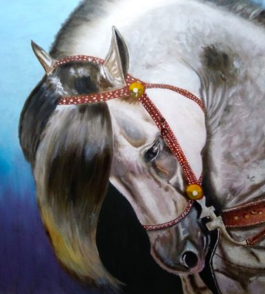 Dulzura y nobleza equina