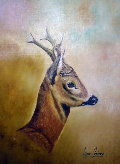 Elegancia silvestre